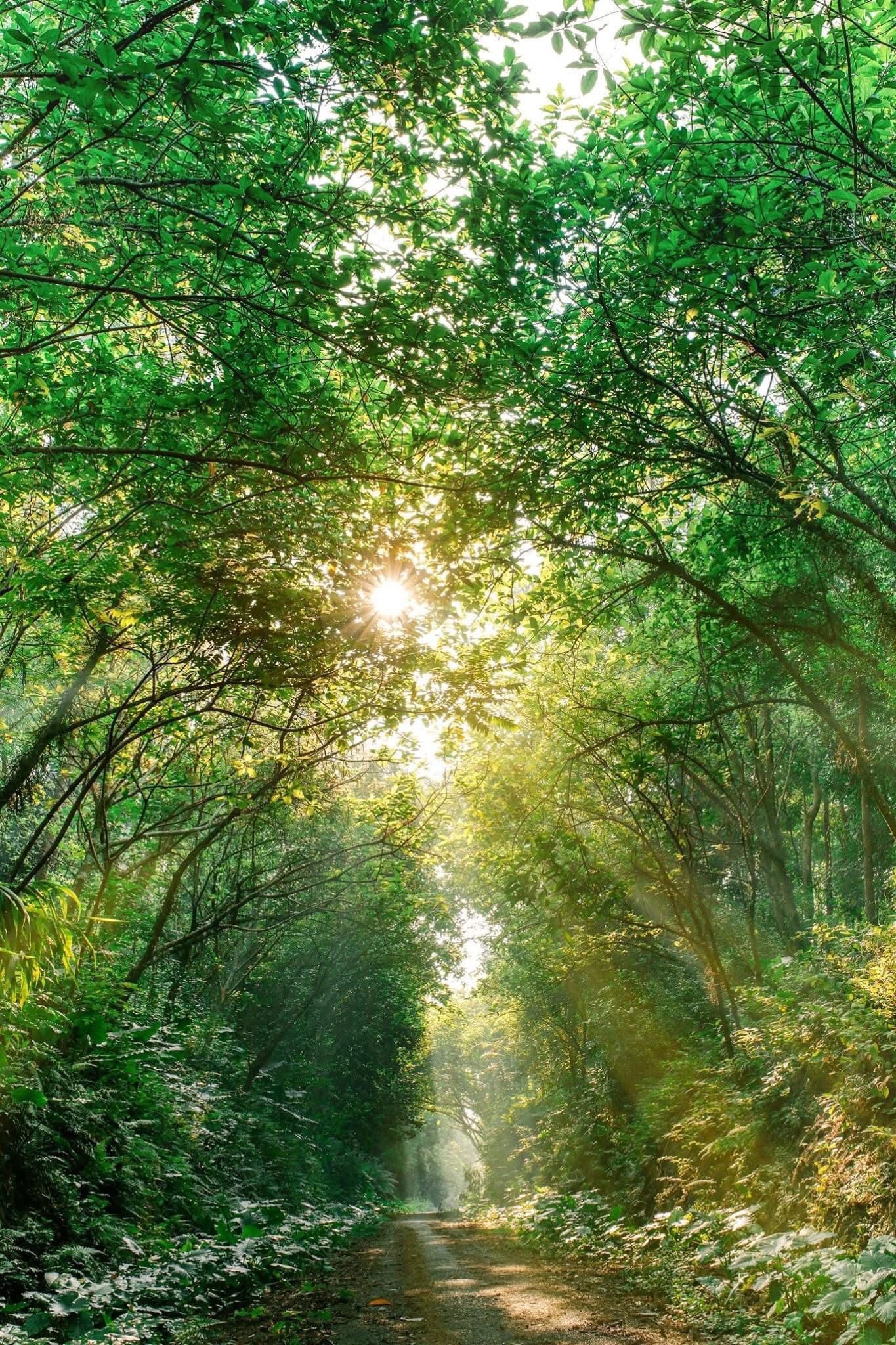 5026316191221216344308407622130742430494094391n