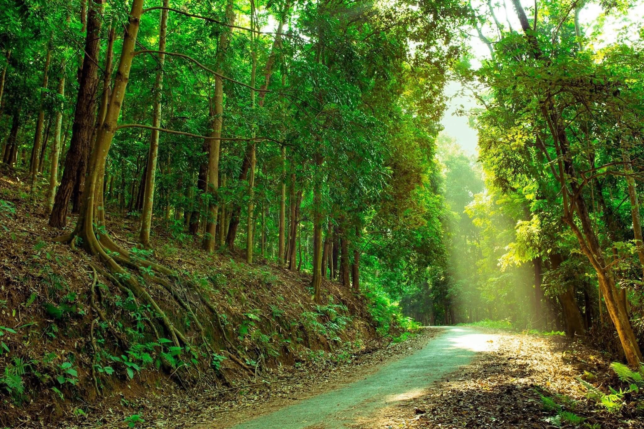 5028436021221216344428407627669809038551930857n