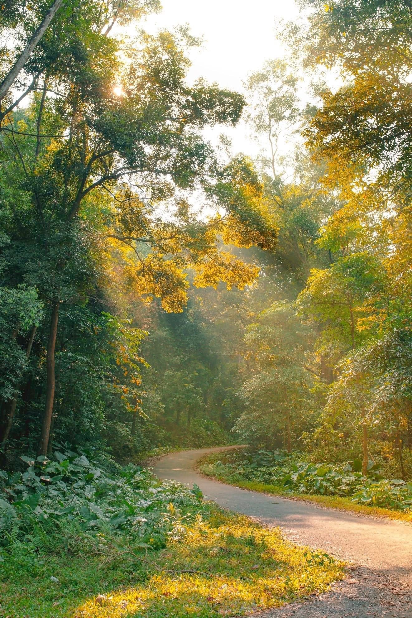 5038692101221216345568407625306746920742043135n