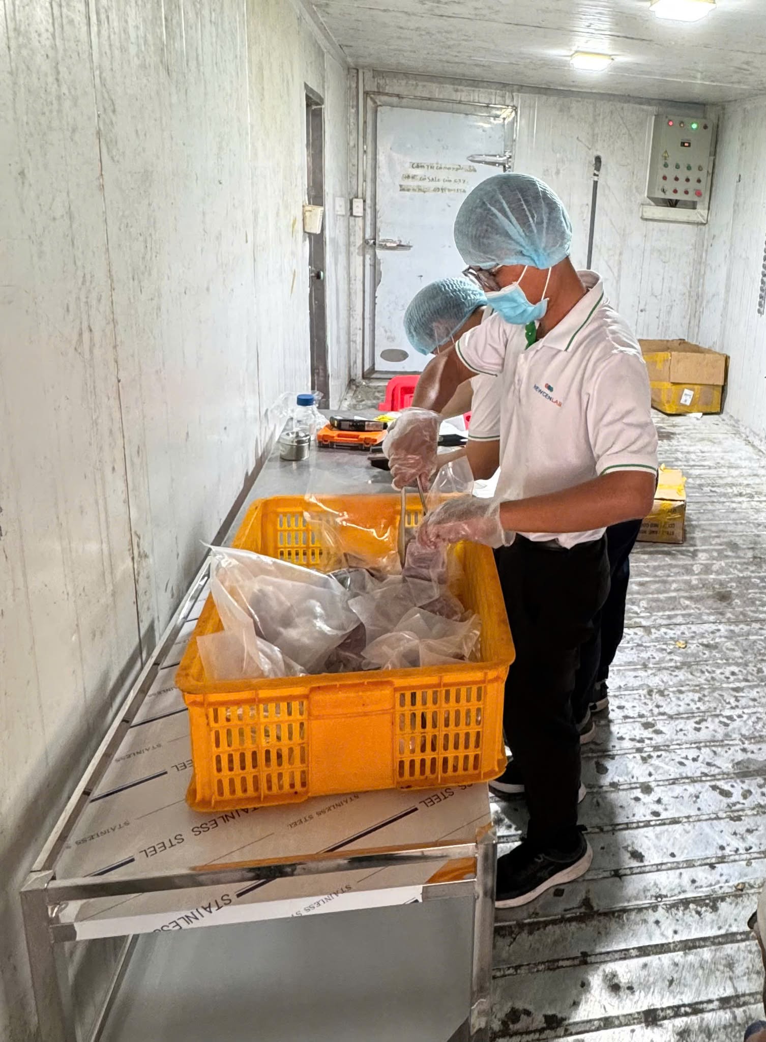 61350301218321896241412868162906261988656874n