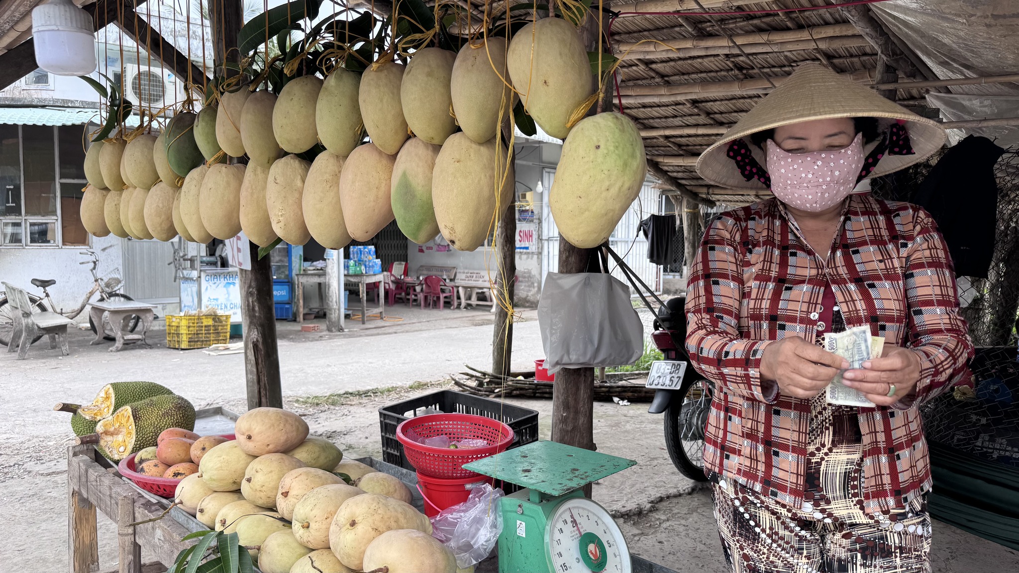 61543364012620728891212792540522285012033542n