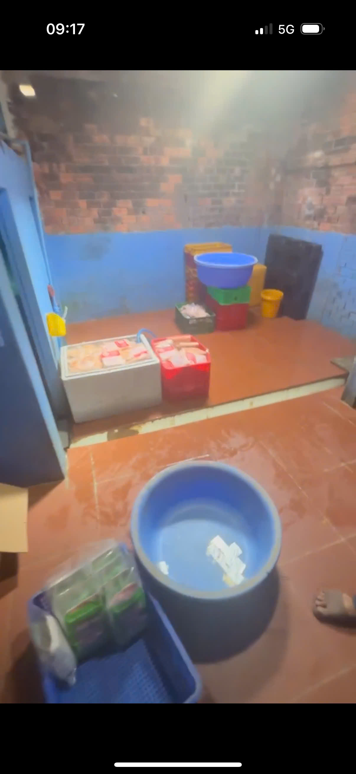 6175852158089757288190176962686707513156147n