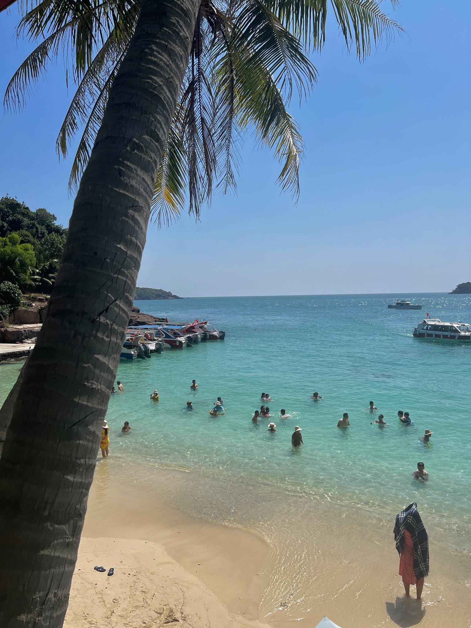 84b86ee6 6330 4aa4 a49c 7f086f53017d