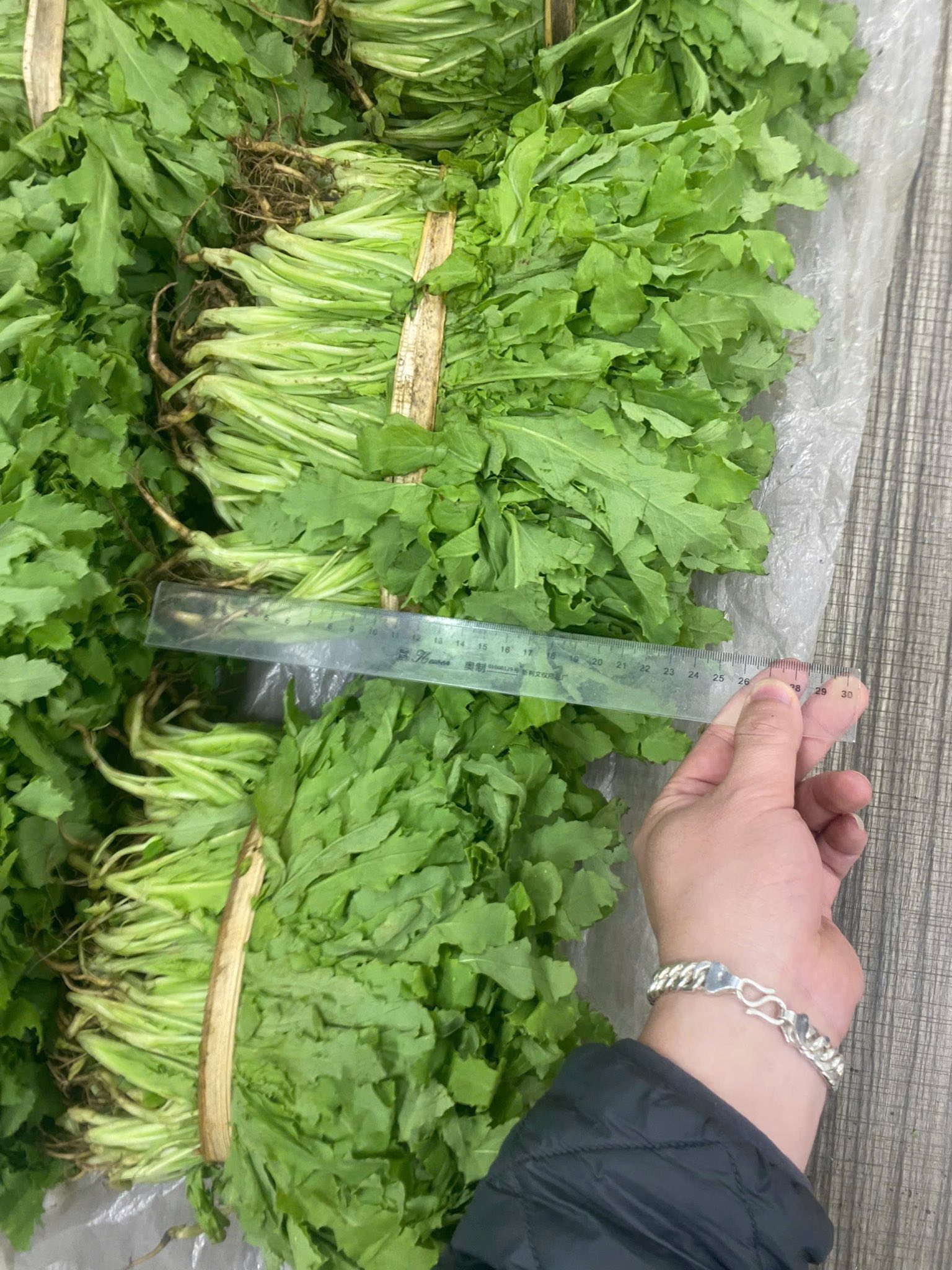 61573913611902964732204077064861731872448637n