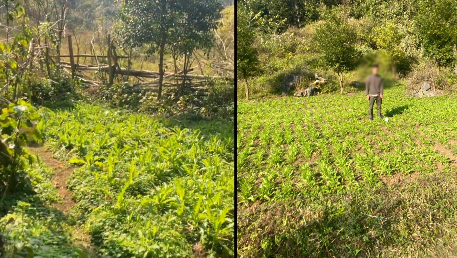 61653390011902965065537371544932412957959853n