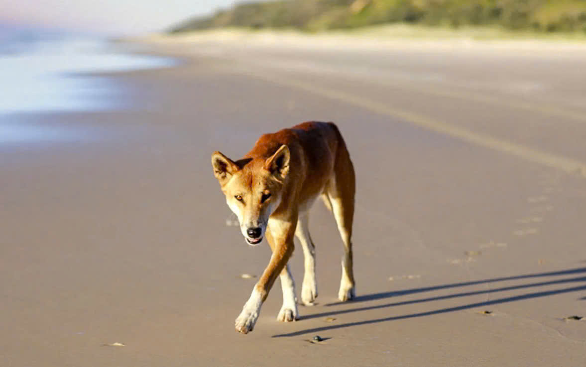 z74493178505901d51fcd6376f4b66d8440160f75bfb93