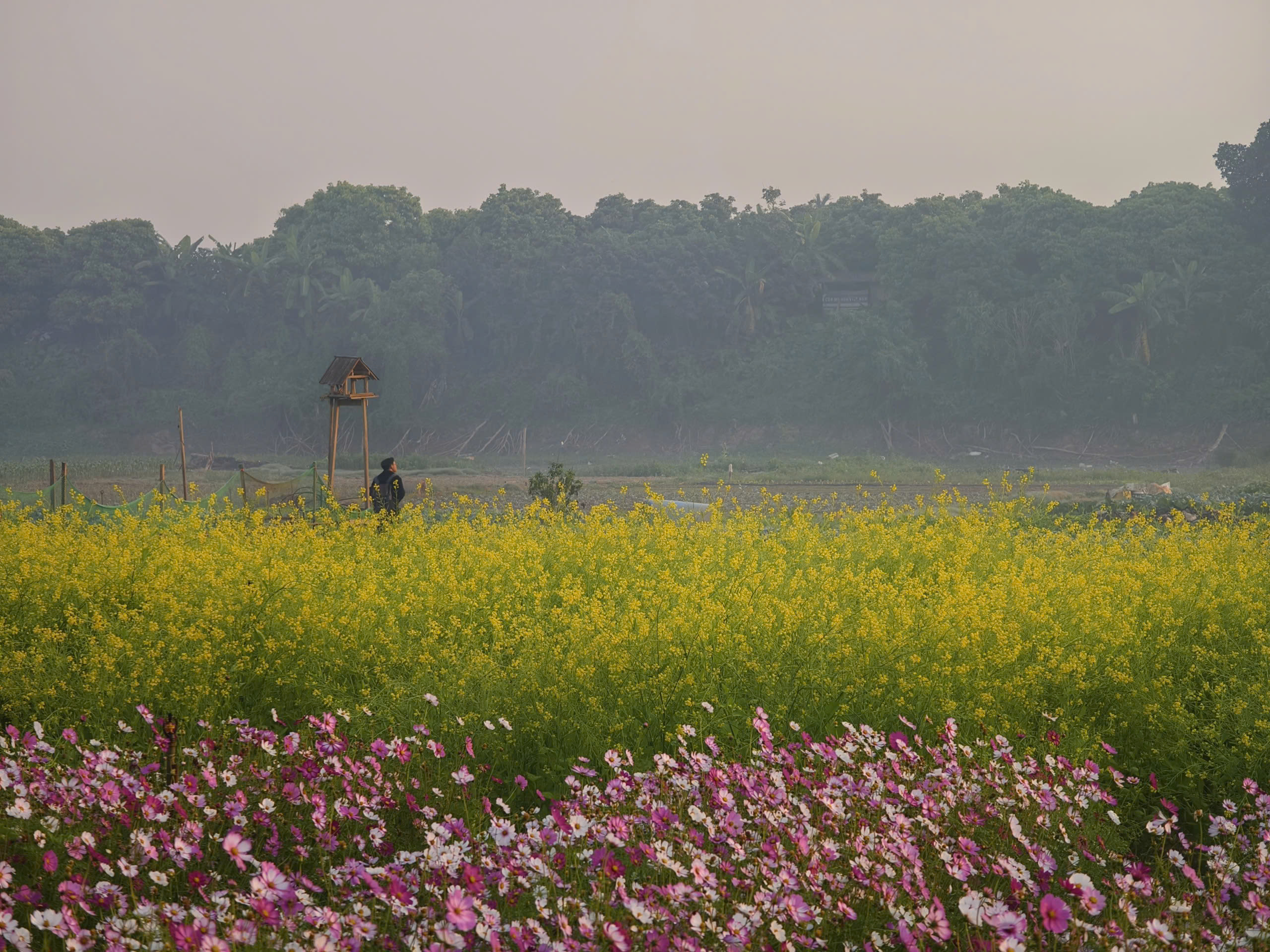 d53cf5347473fa2da362