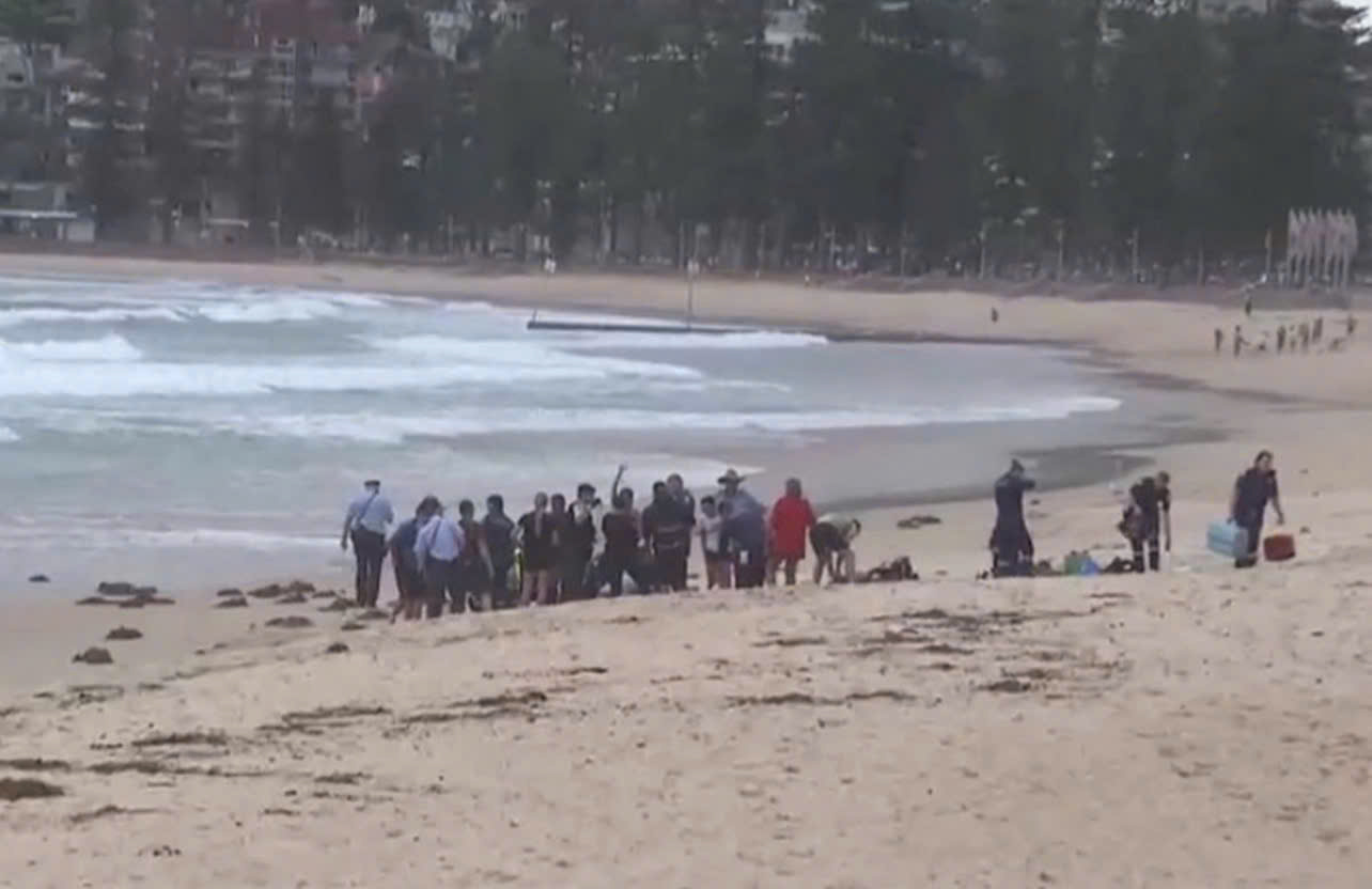 z7453170684007c2e32c7f9685b1add1e0e2e272c2c25a