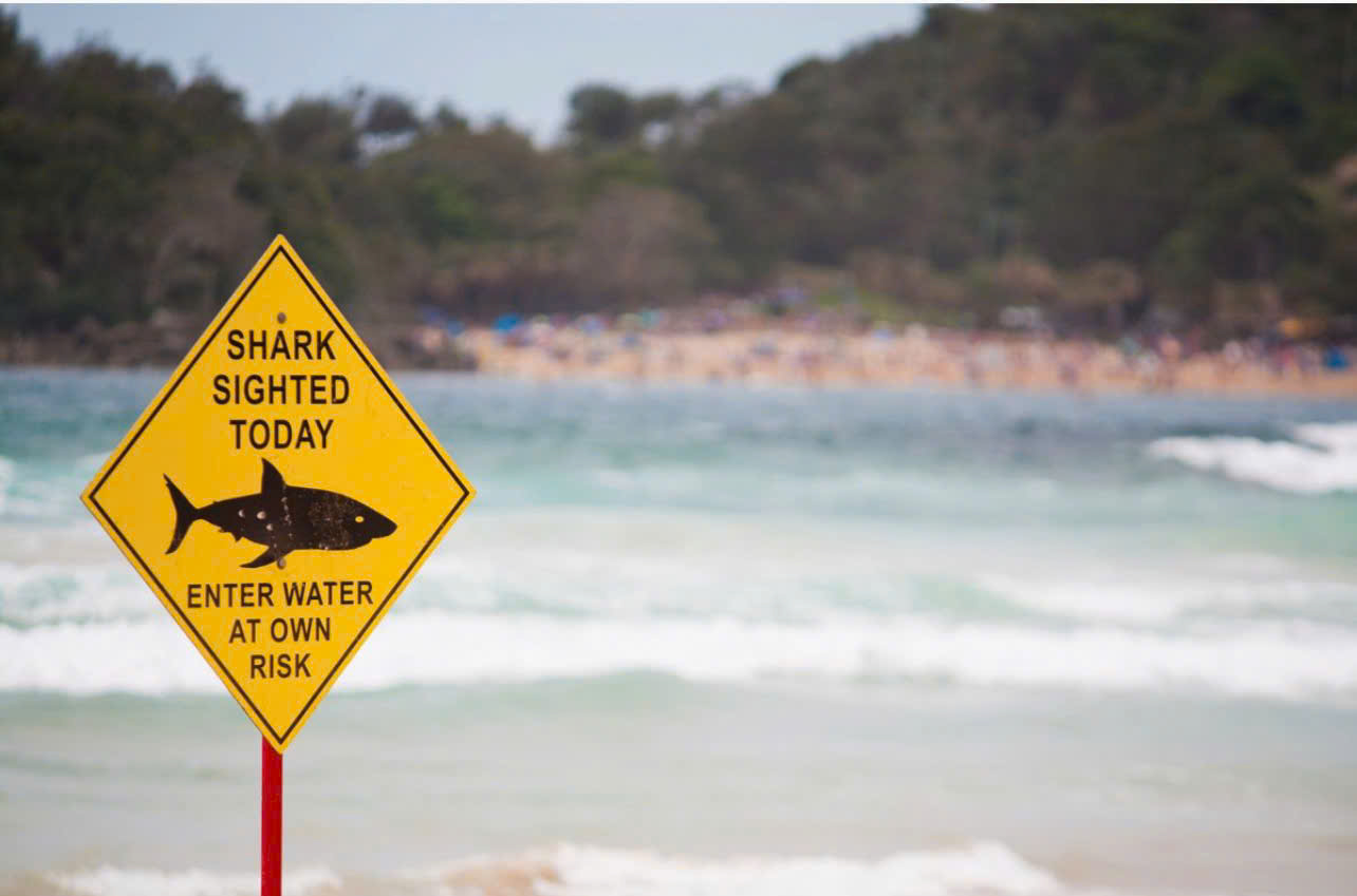 z745317069573393c2114b08a76b19f47c50c7c821daf3