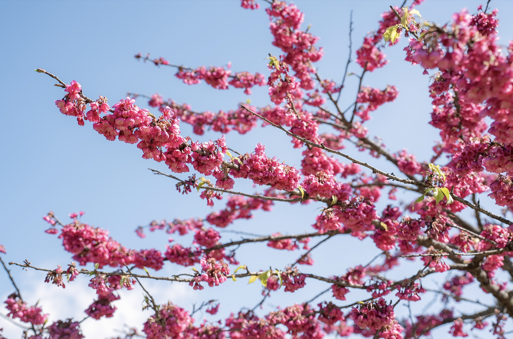 anh man hinh 2026 01 22 luc 211920