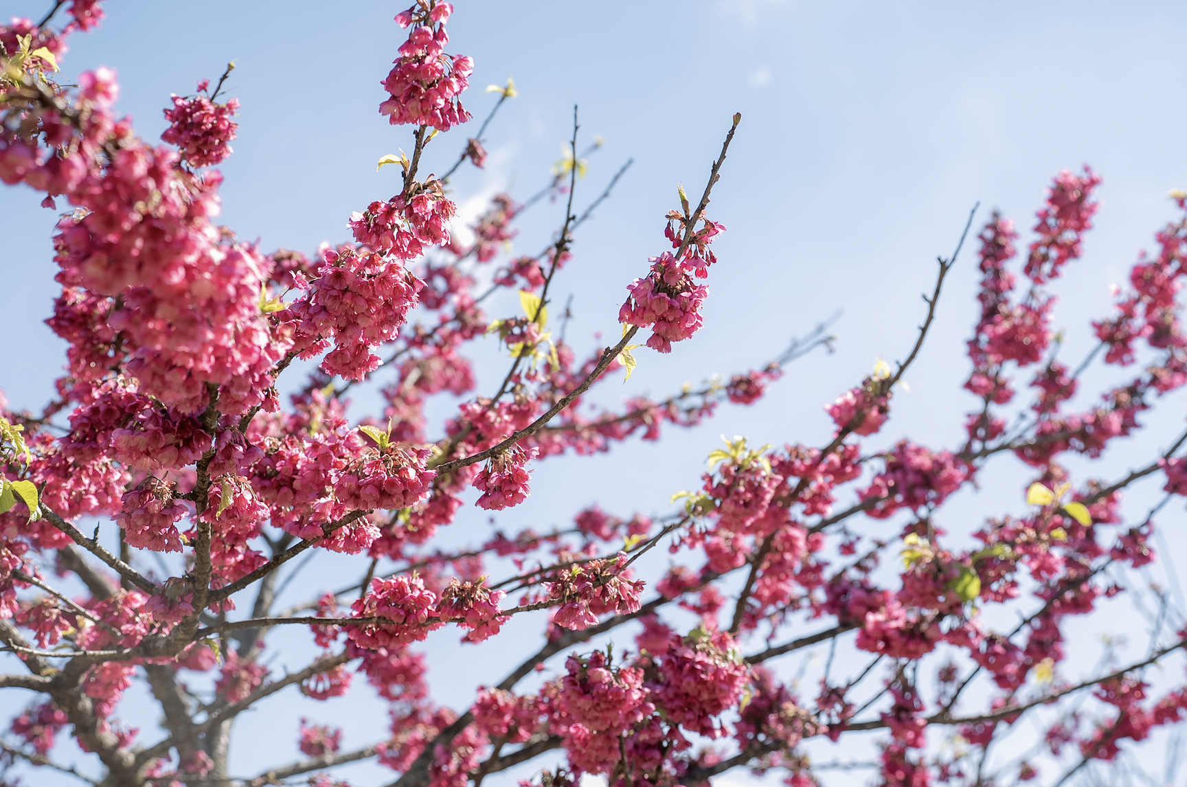 anh man hinh 2026 01 22 luc 211927