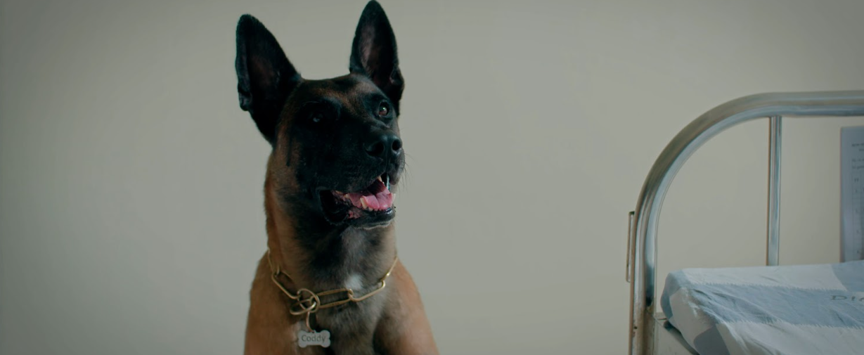 screenshot 2026 01 22t203852305