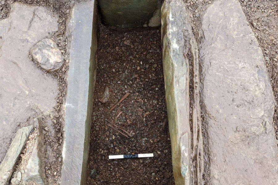 z7459496009995c12e5dfb5f0e7e1eba3bf5146498b6ea