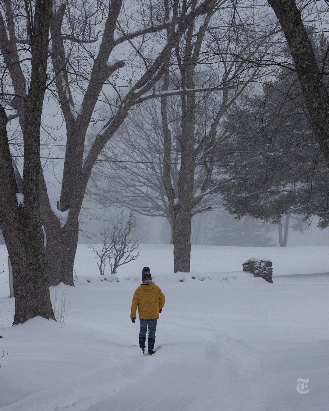 a dangerous winter storm pummeled much of the eastern us on sunday shattering temperature rec 7