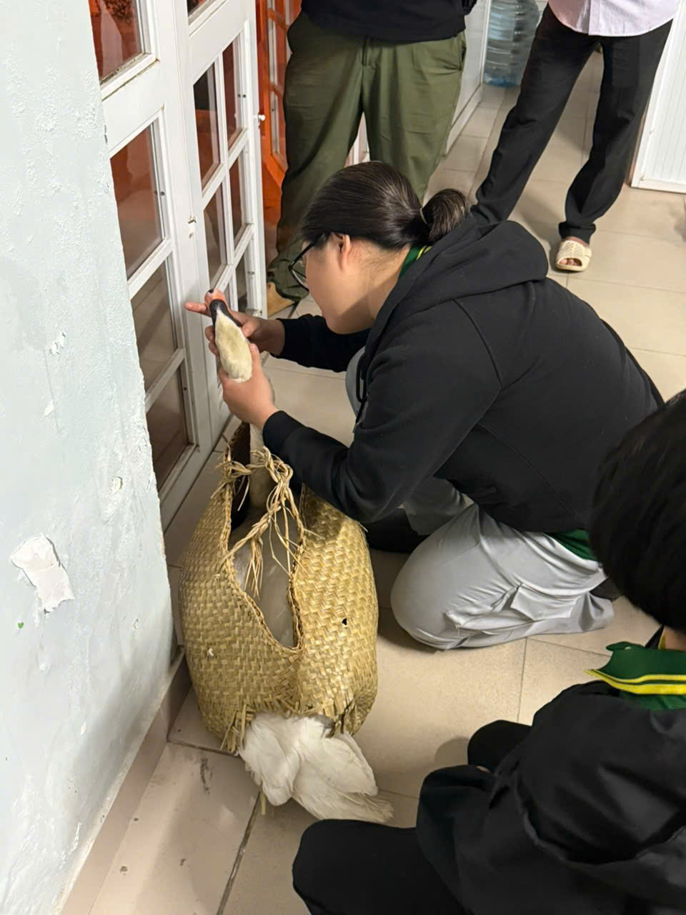 61967532619684255070736141109285035961823656n