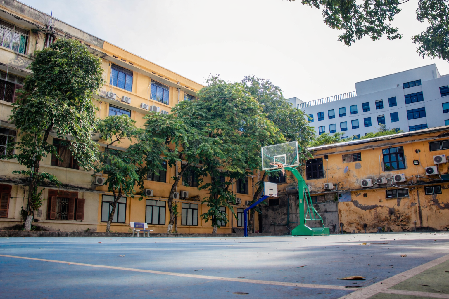 chatgpt image jan 27 2026 053605 pm