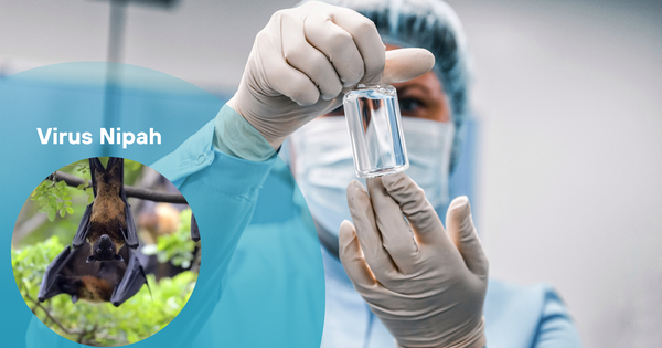 nipah 17694836440381571219681 0 0 1006 1920 crop 1769483669374869581363