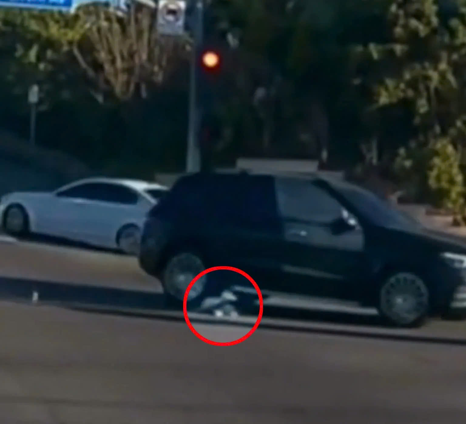 z7475628995498e21348585e0f28491c86c498b0d4a13d