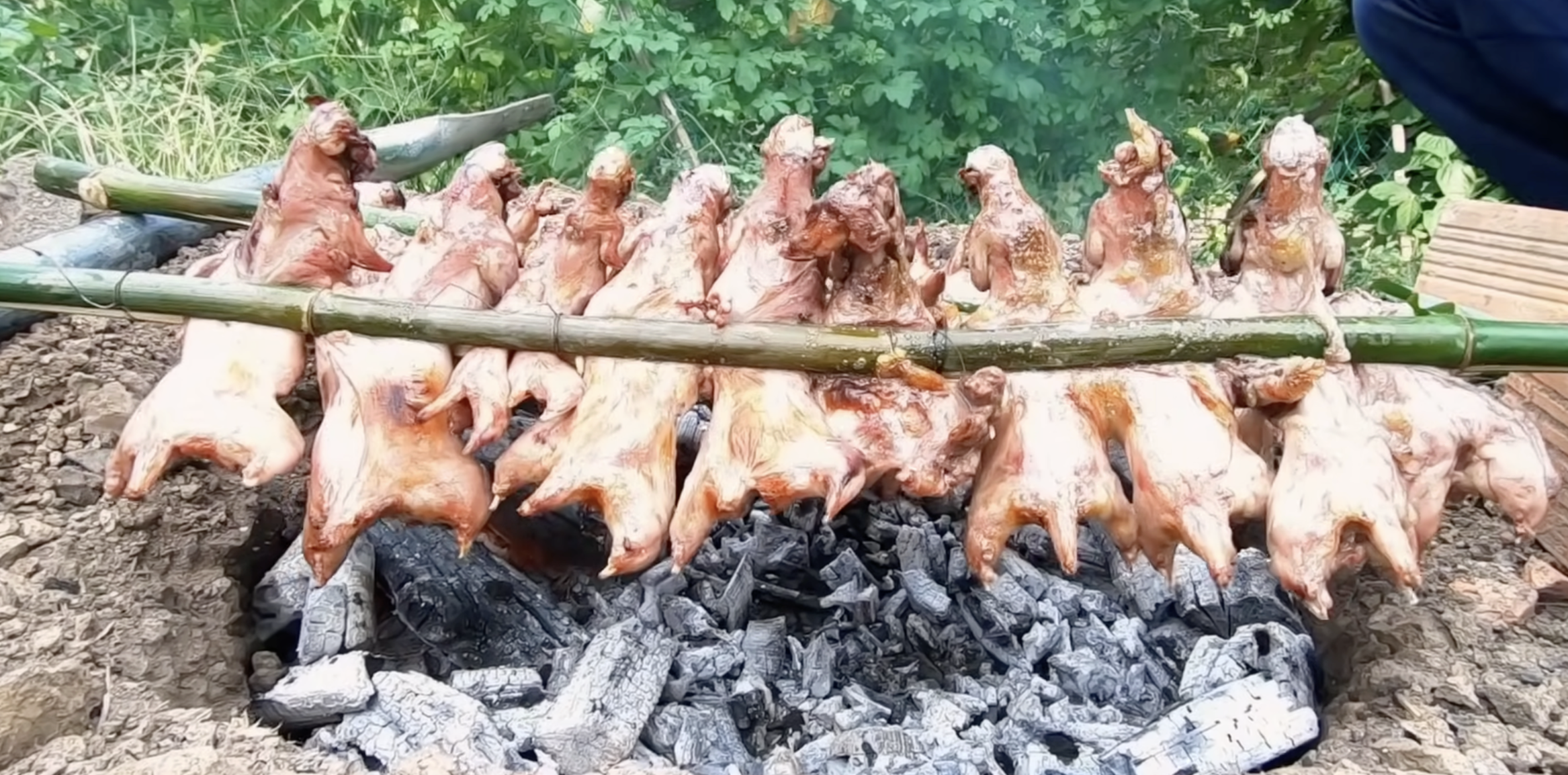 anh man hinh 2026 01 30 luc 201633