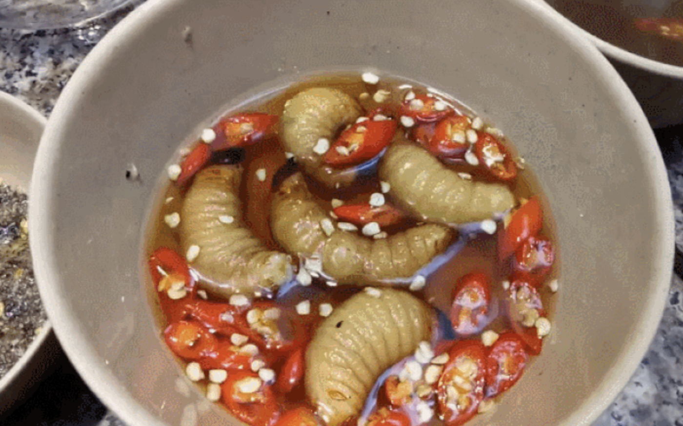 anh man hinh 2026 01 31 luc 175110