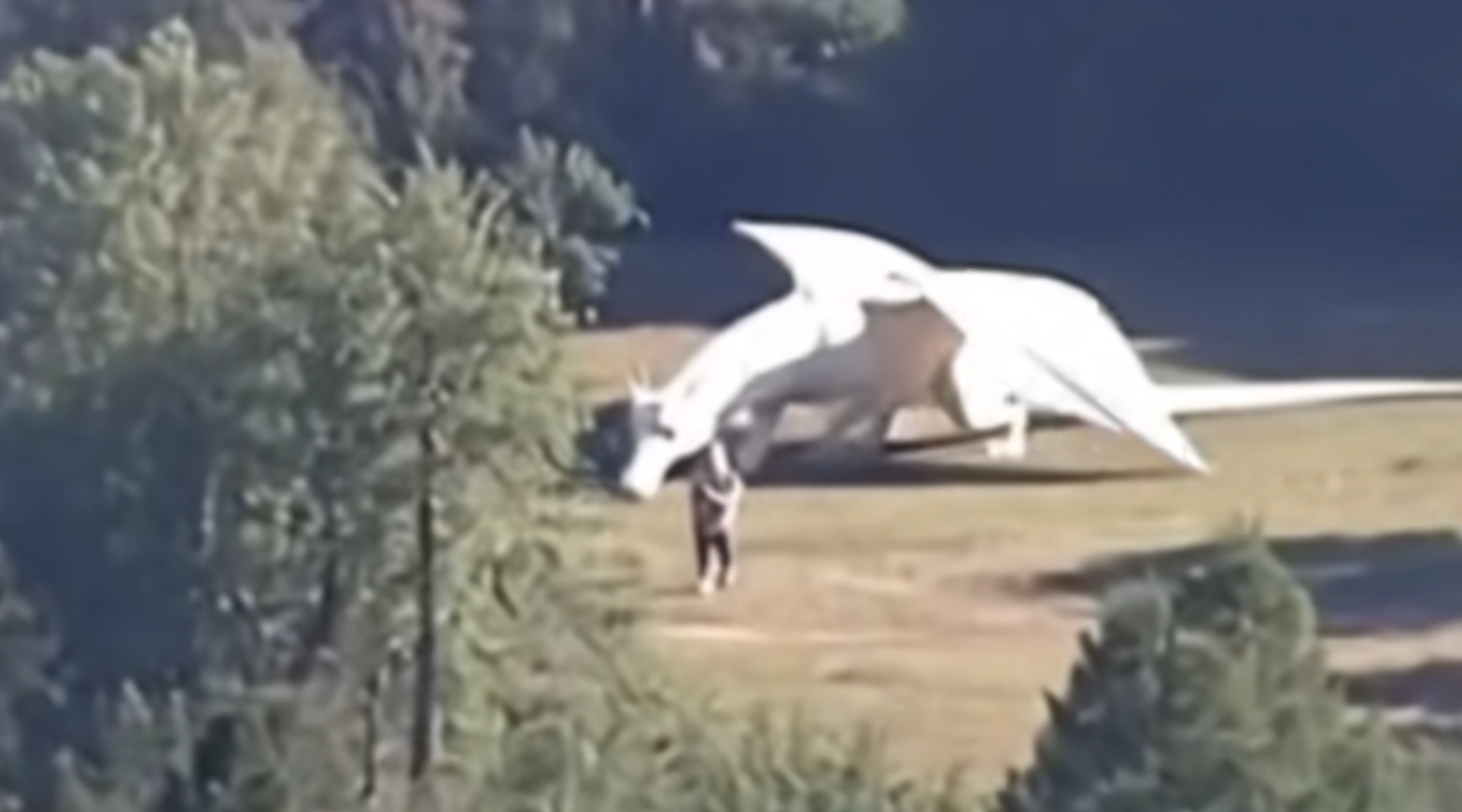 anh man hinh 2026 02 03 luc 114107