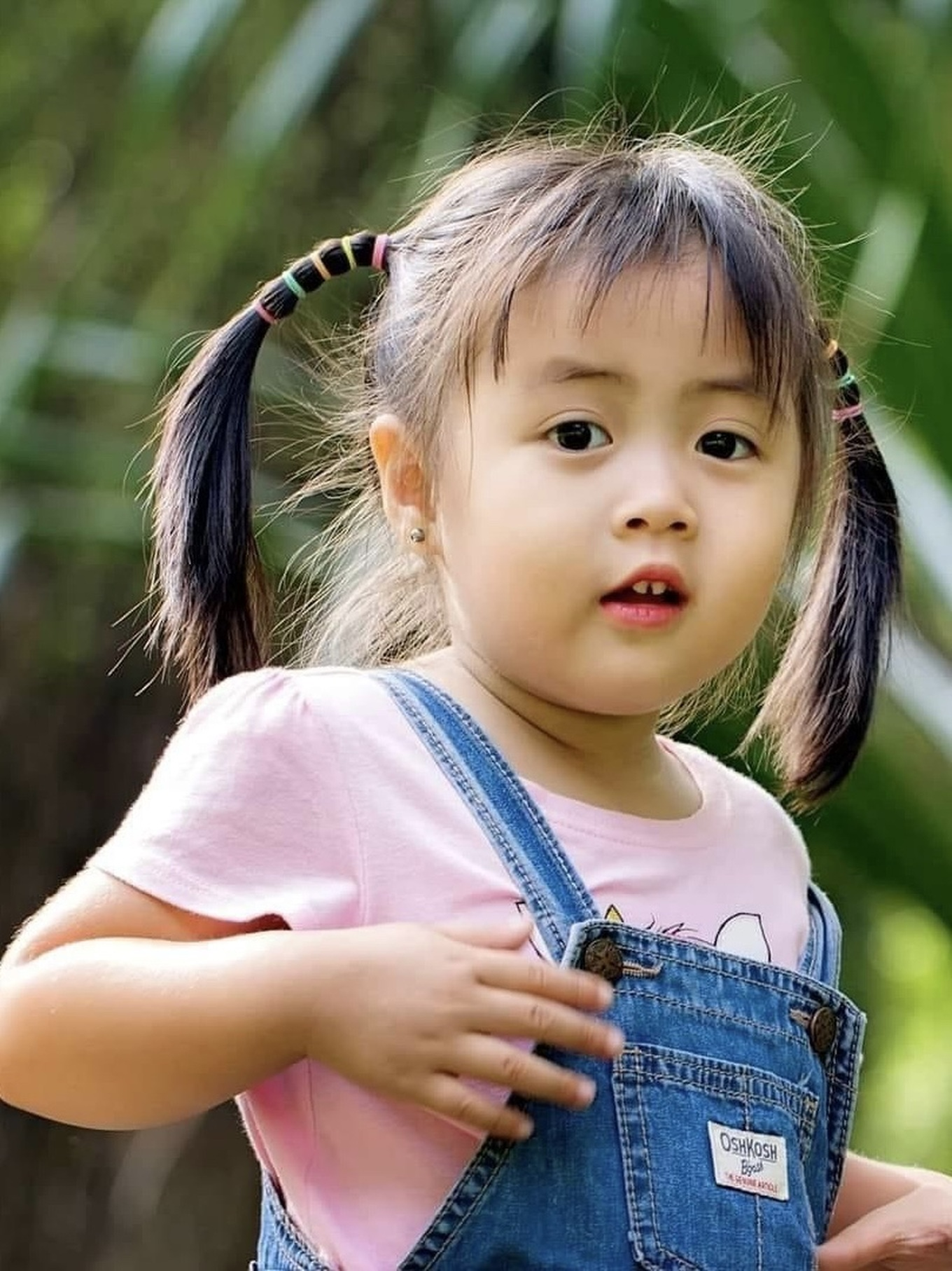 z540674147081733c2b984ab4157f9a4