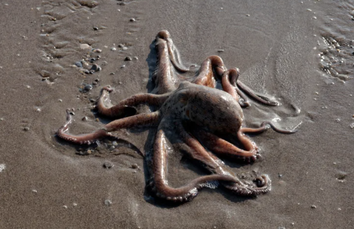 anh man hinh 2026 02 06 luc 122809