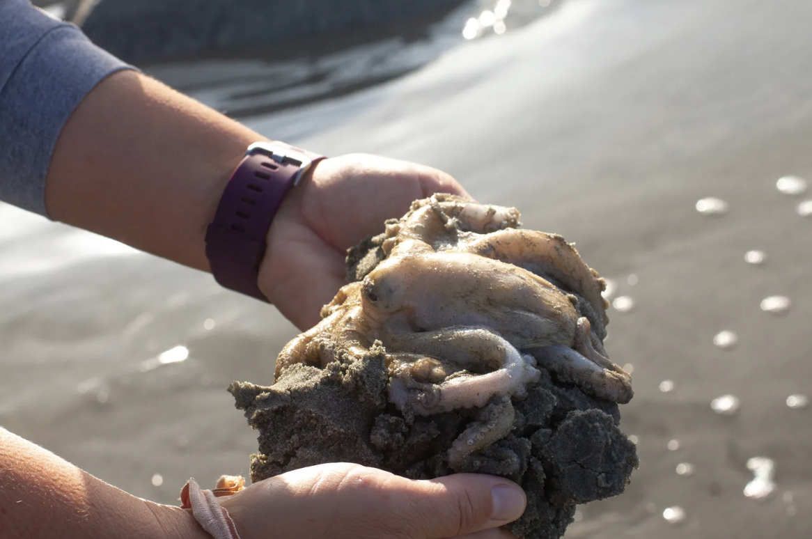 anh man hinh 2026 02 06 luc 122818