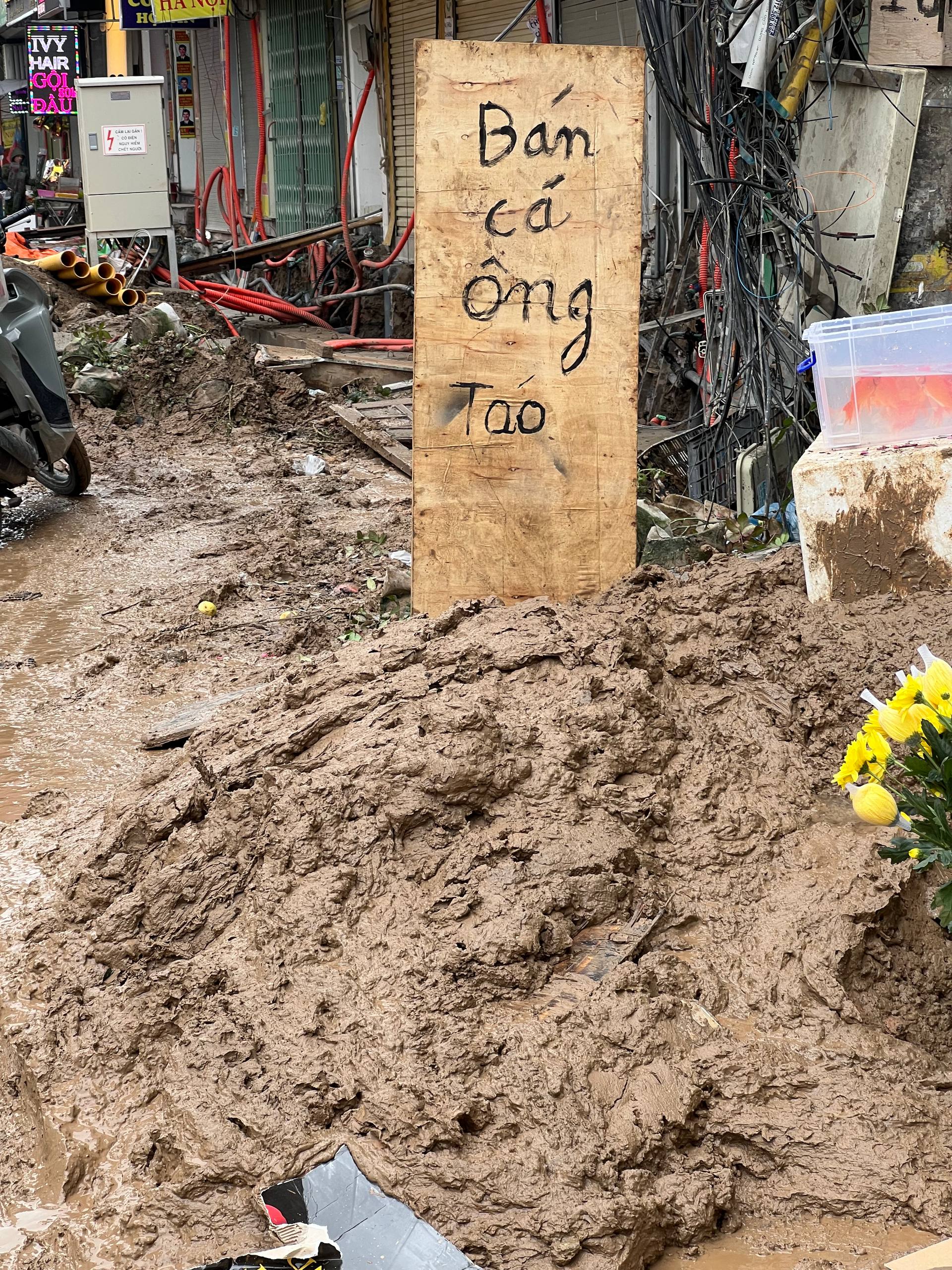 photo2026 02 09 151706