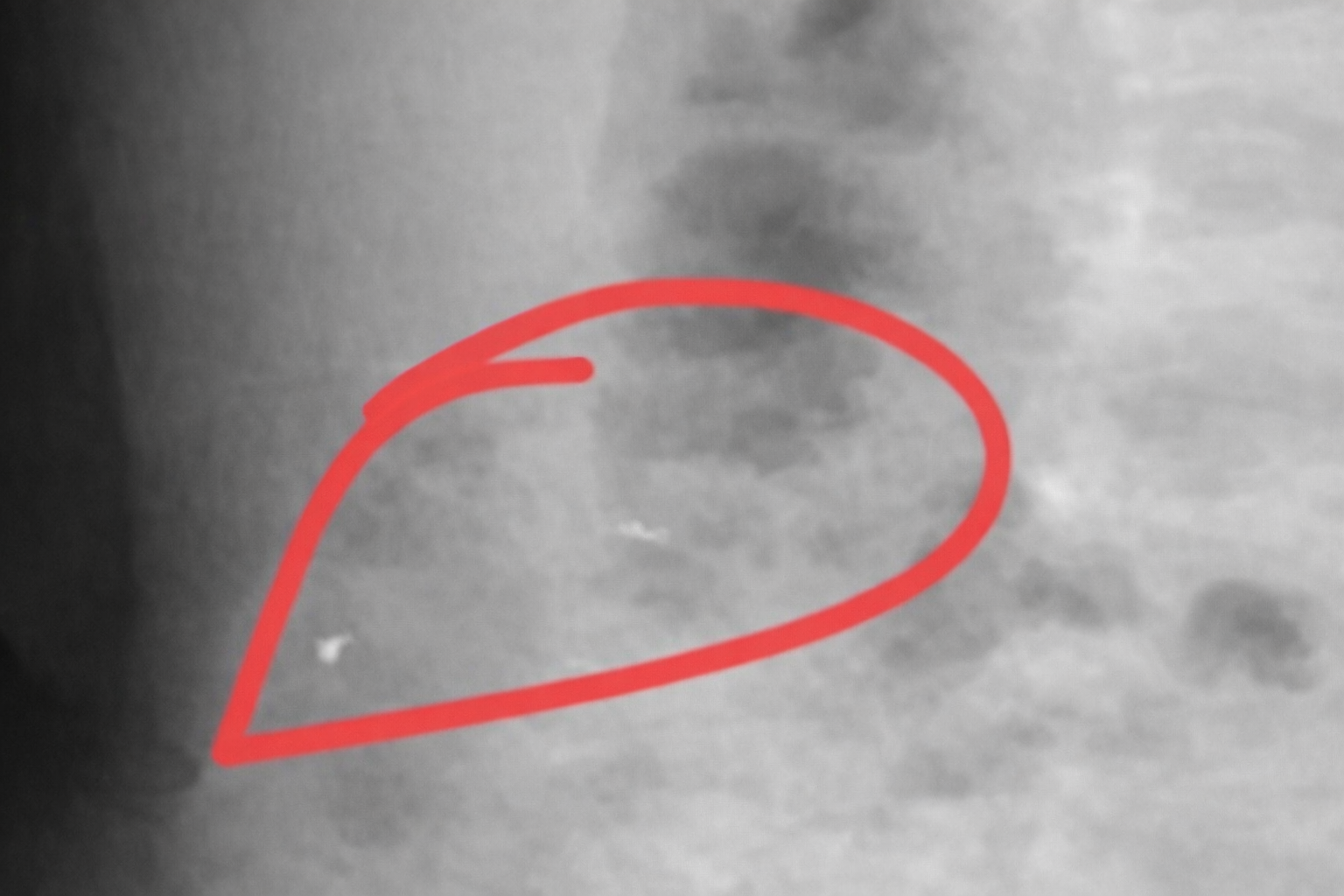 chatgpt image feb 11 2026 030740 pm