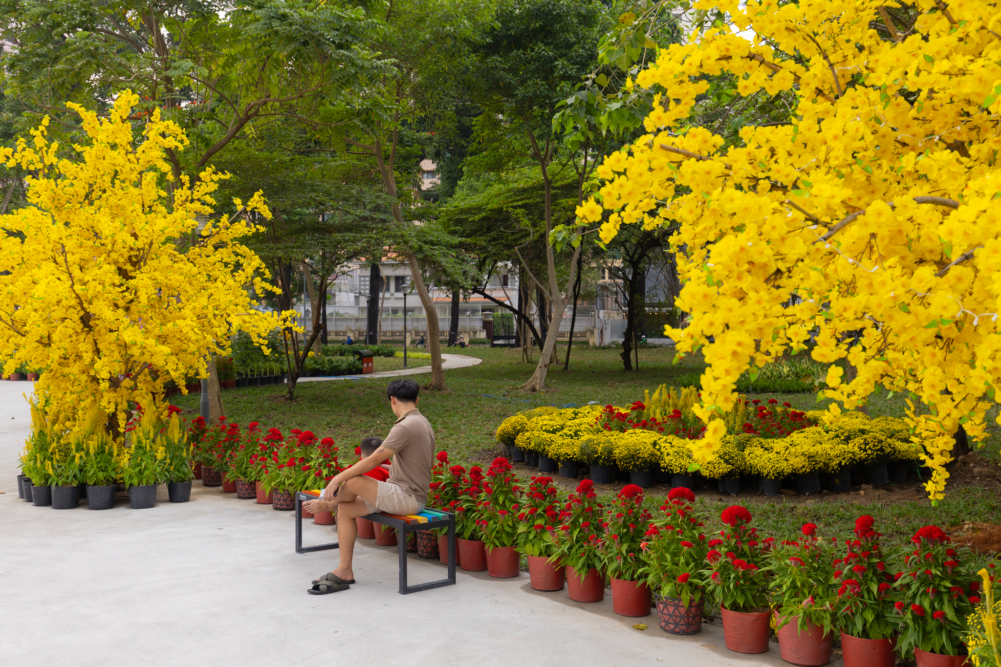 cv phan dinh phung 6