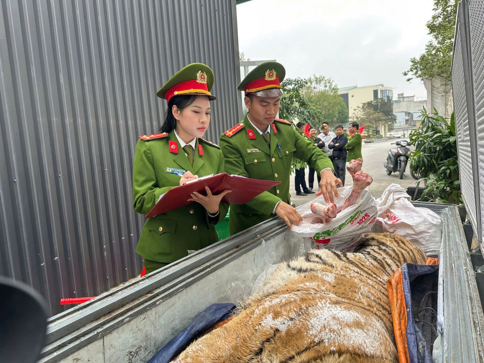 z7532146454115dd0d76ec6f04bc03d57c376dc6364165