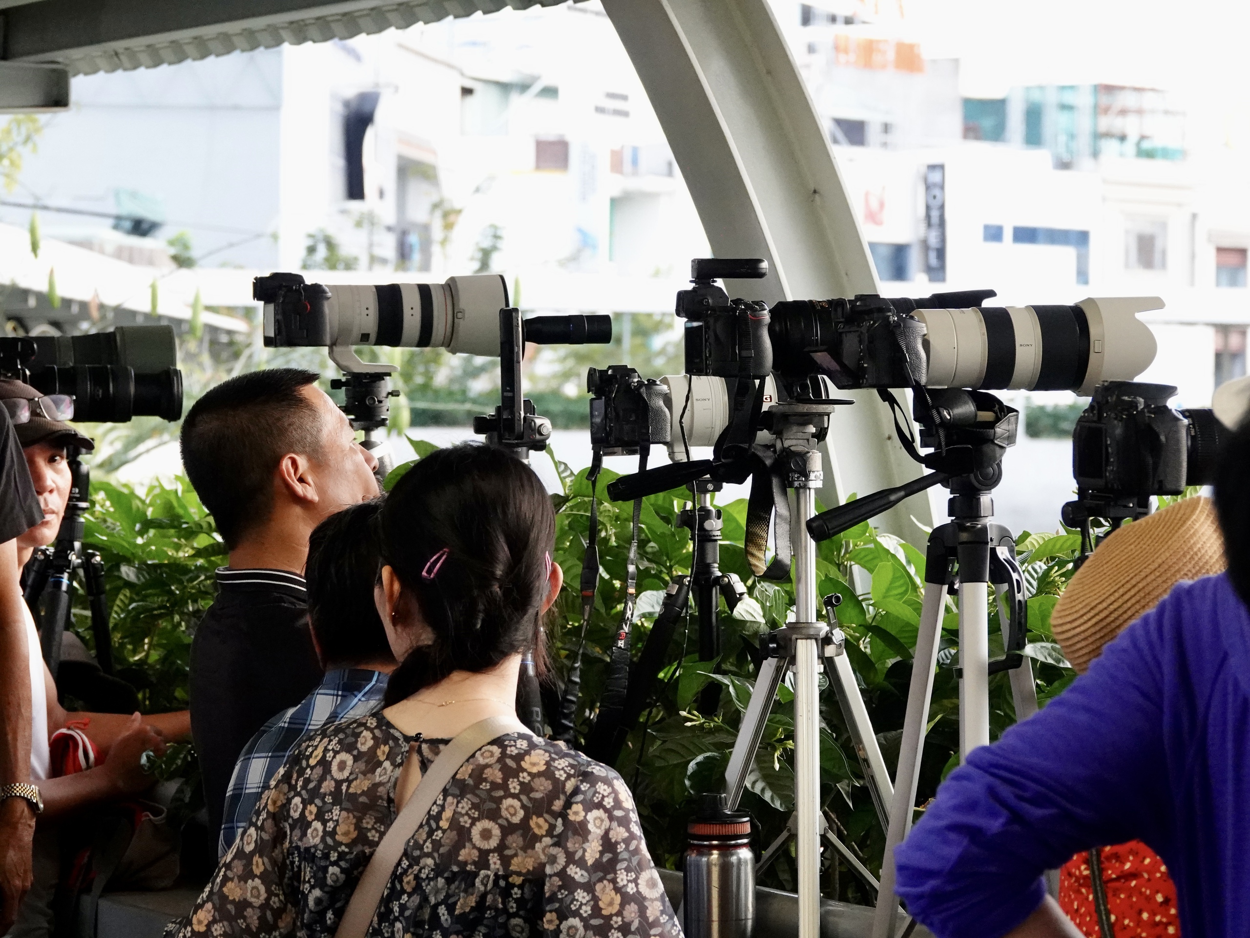 img7052 1771937779562276255045