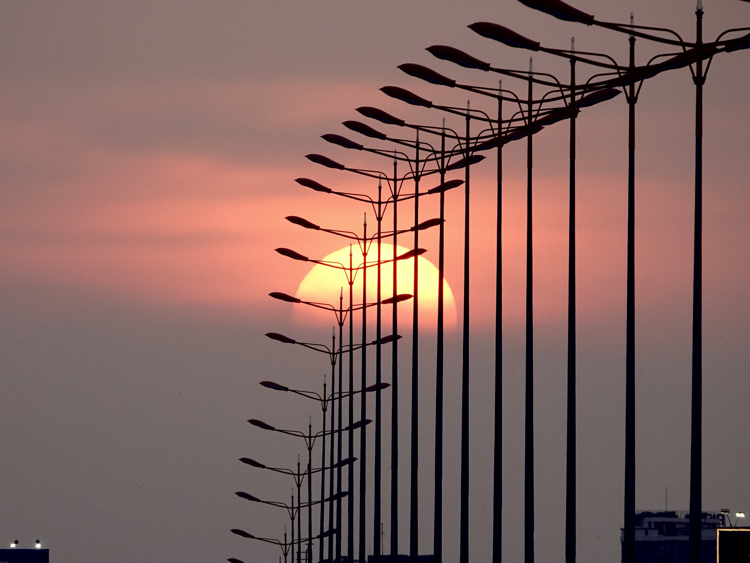 img7054 1771937779562617131446