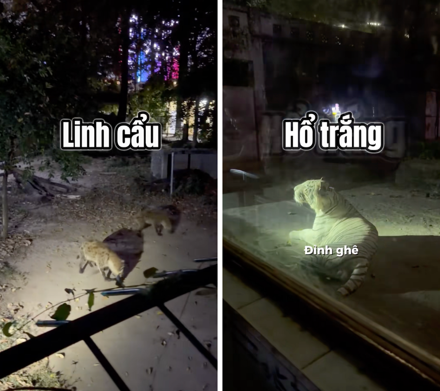 thiet ke chua co ten 79