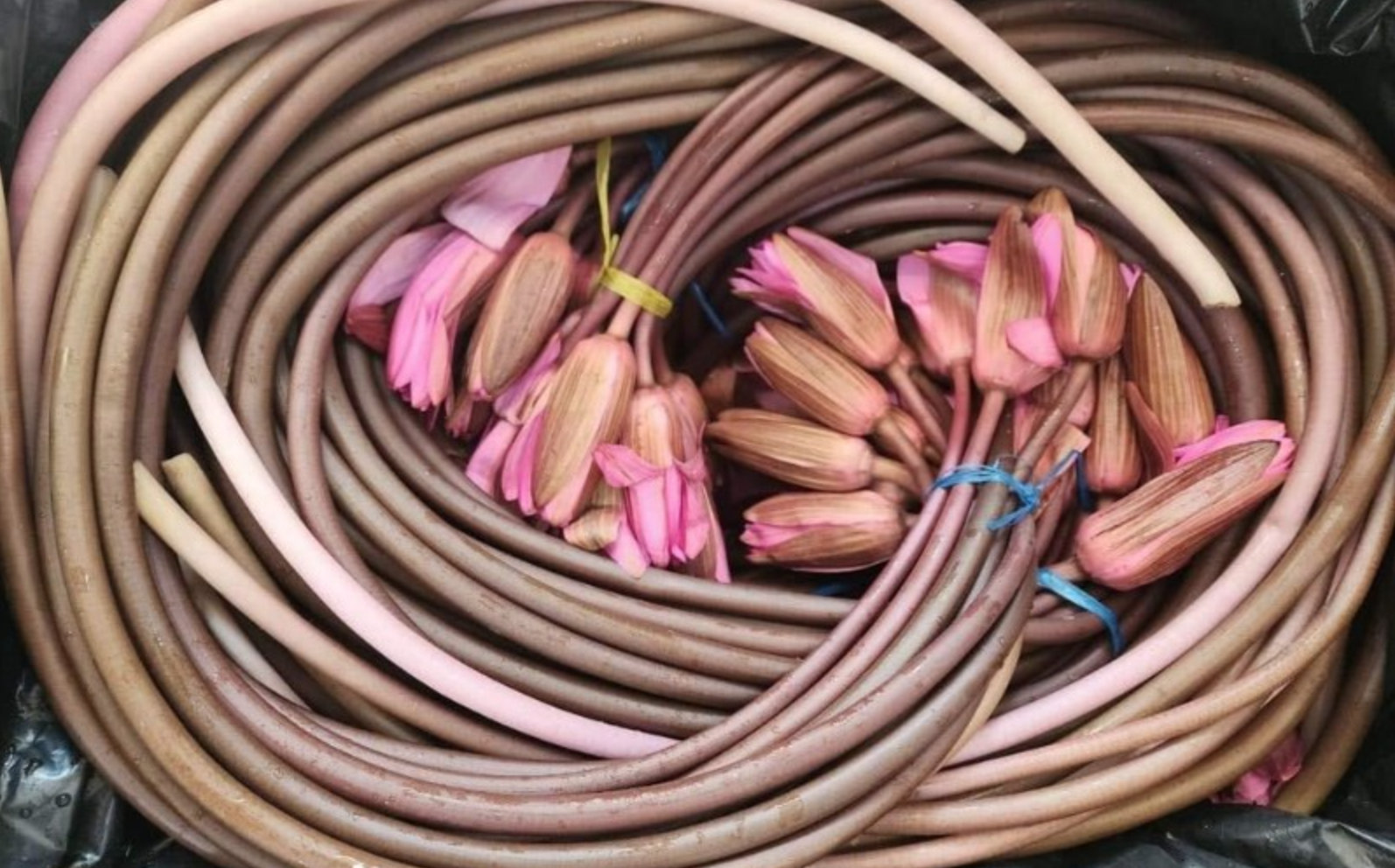 screen shot 2026 03 02 at 215936