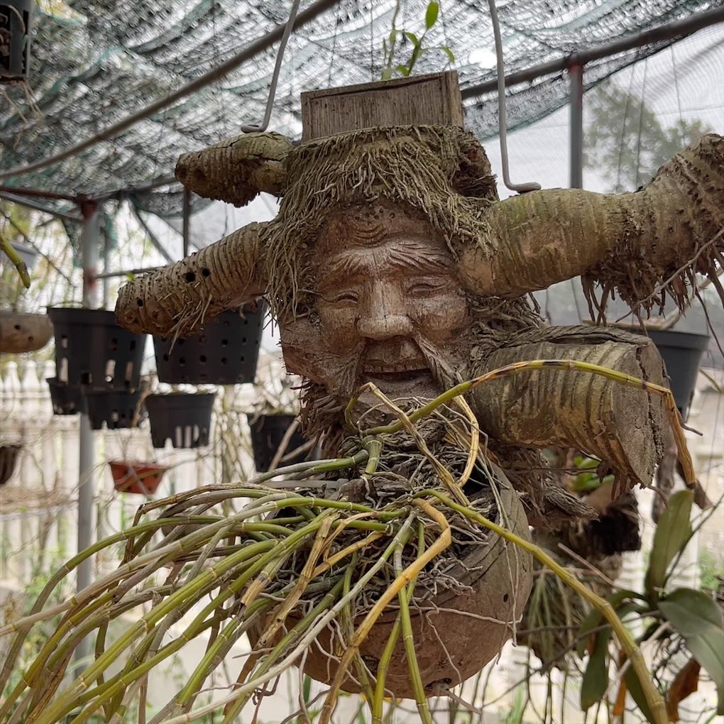 642475424179368538191749811373710986411293950n