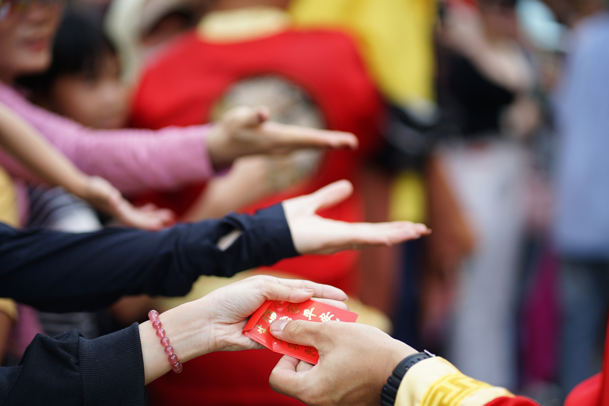 dsc01784 1772542784159882713937