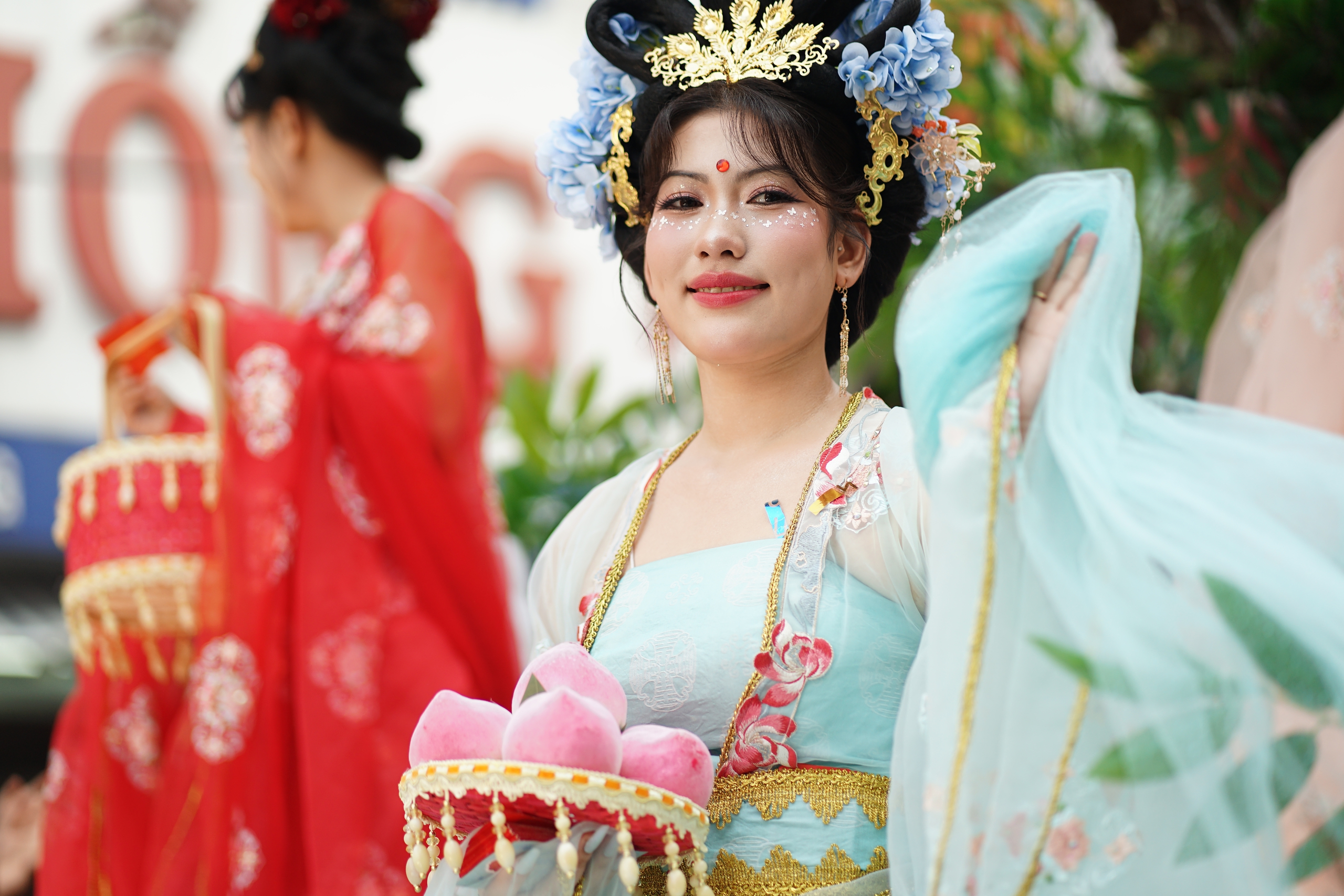 dsc01796 177254278425338424942