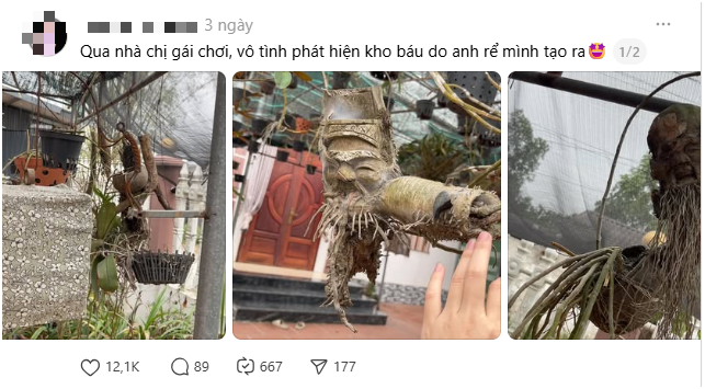 edit screenshot 2026 03 03 125218 1772524293823746190008