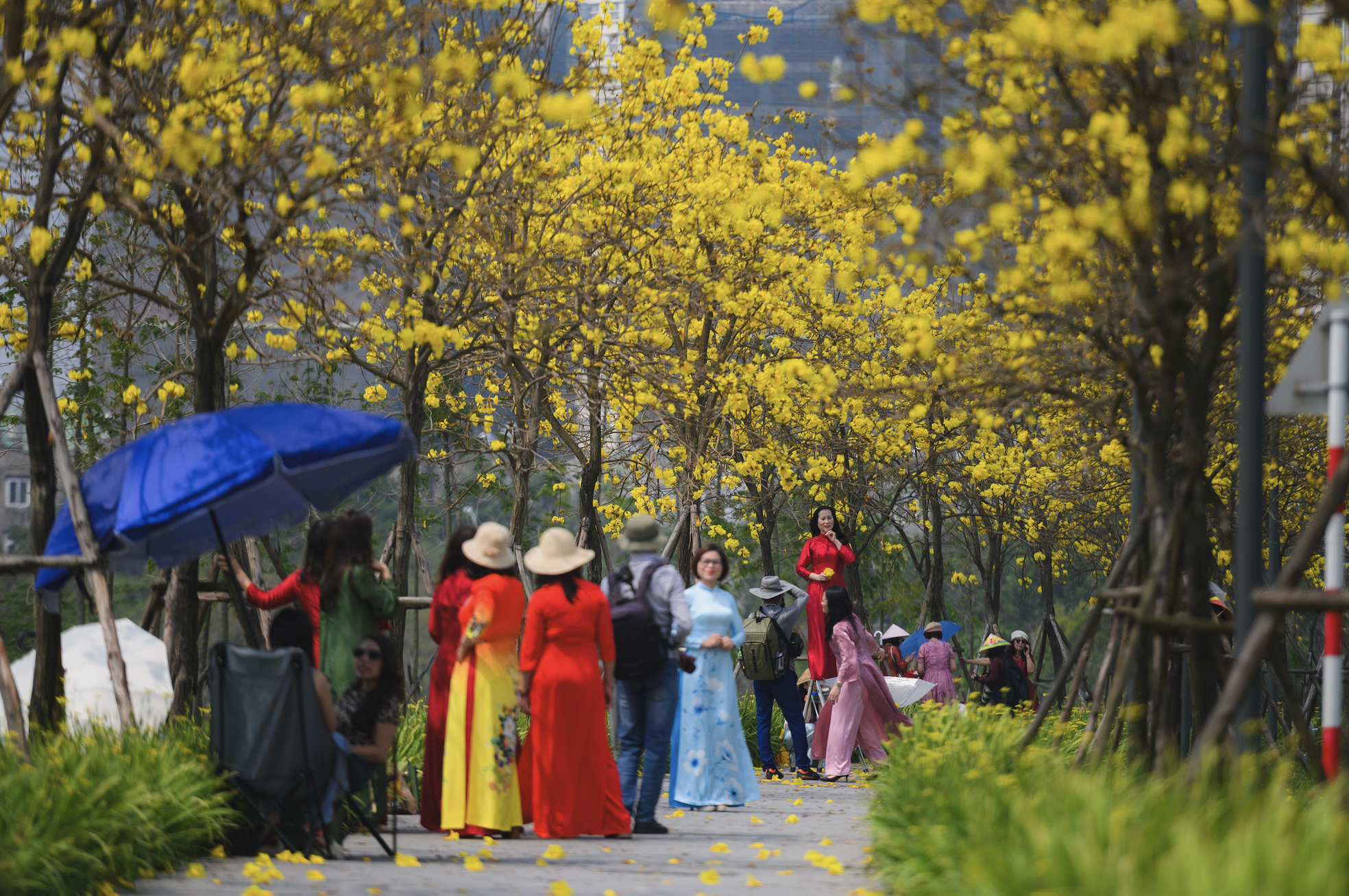 anh man hinh 2026 03 04 luc 120113