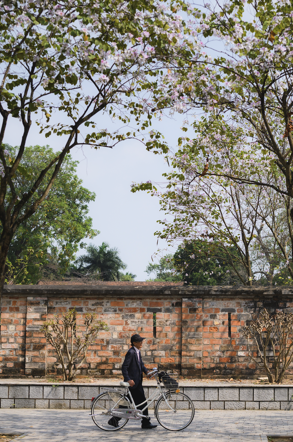 anh man hinh 2026 03 04 luc 120430