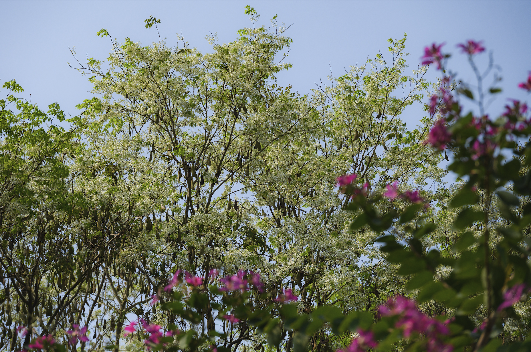 anh man hinh 2026 03 04 luc 120521