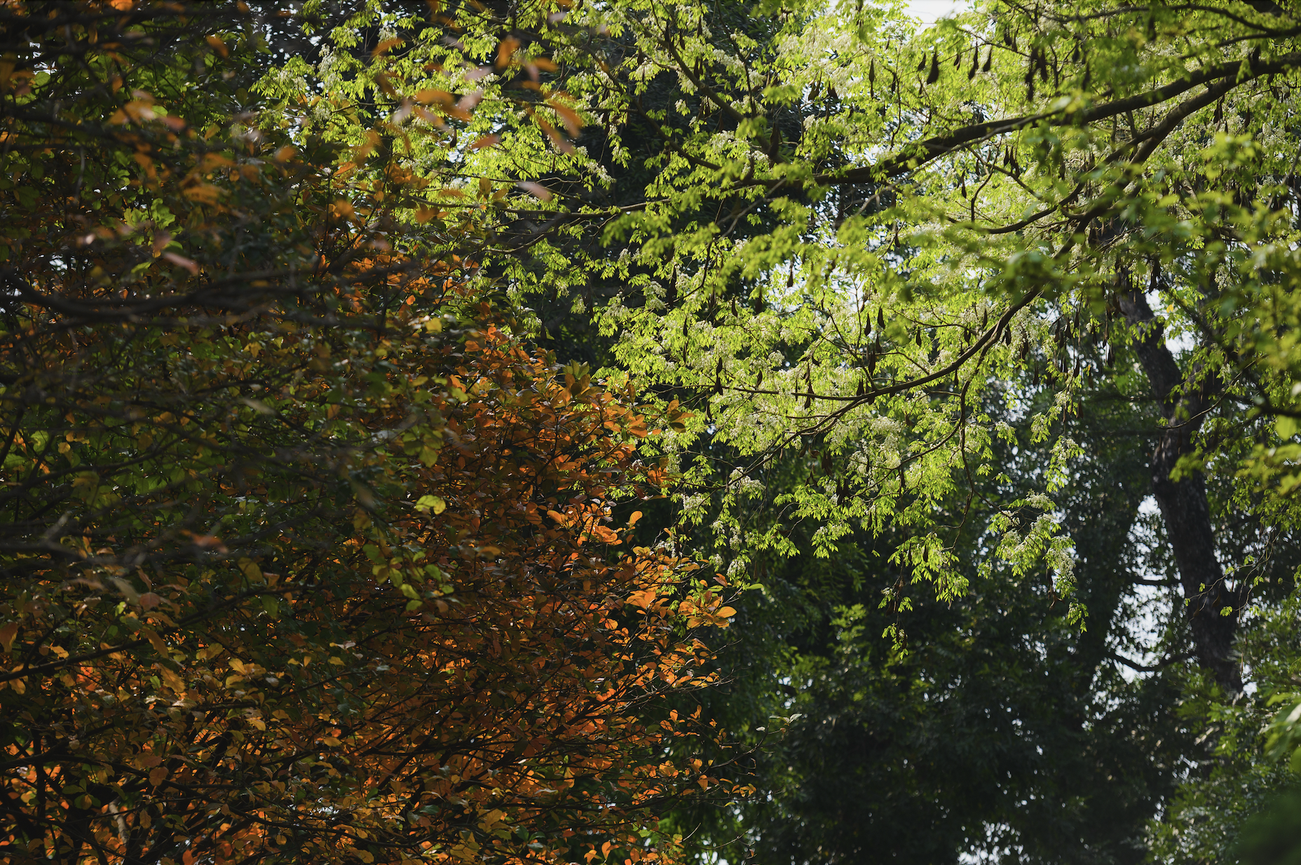 anh man hinh 2026 03 04 luc 120529