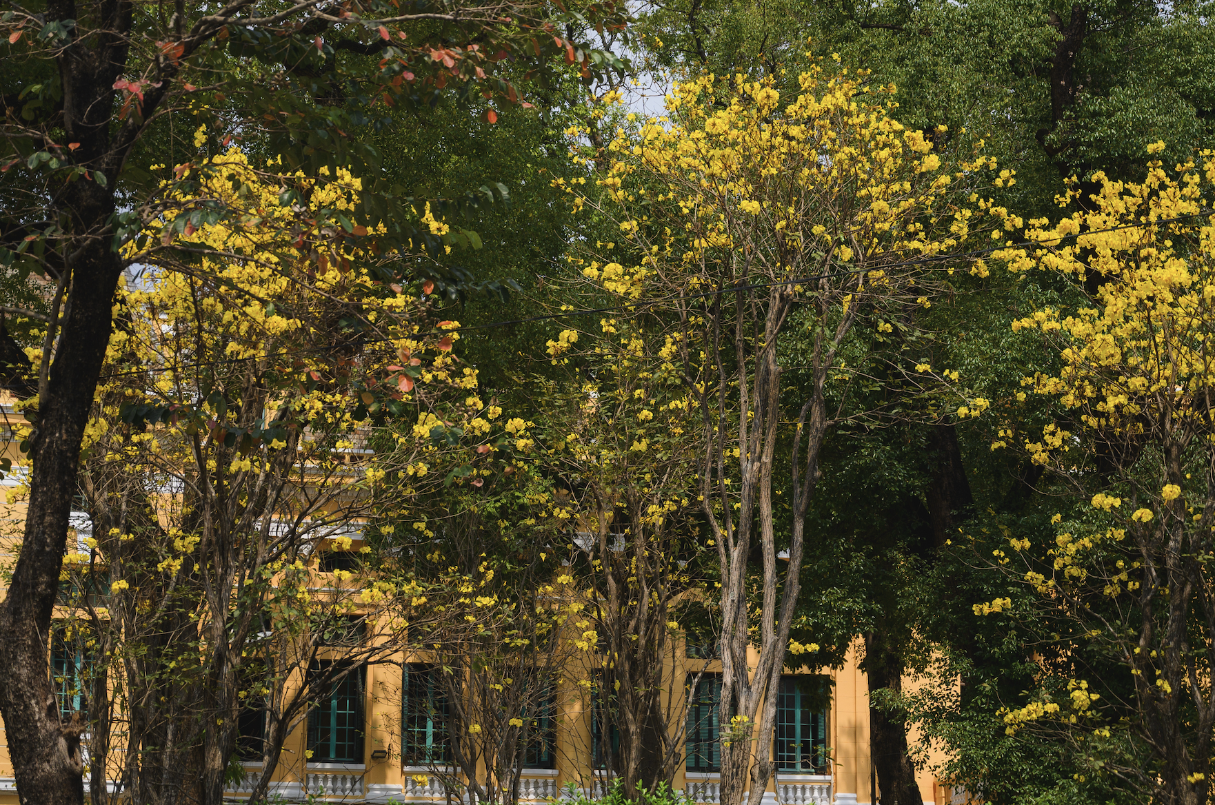 anh man hinh 2026 03 04 luc 120949