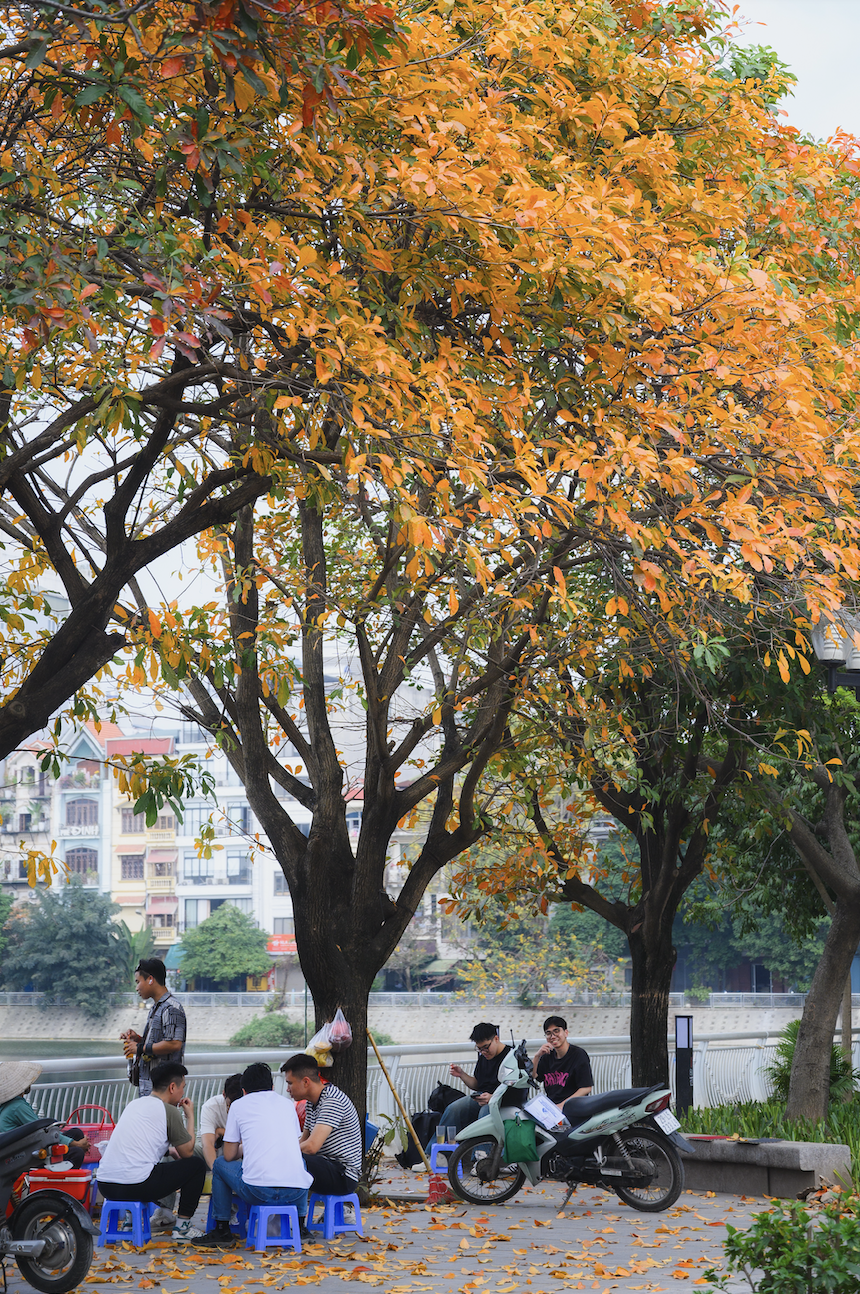 anh man hinh 2026 03 04 luc 121057