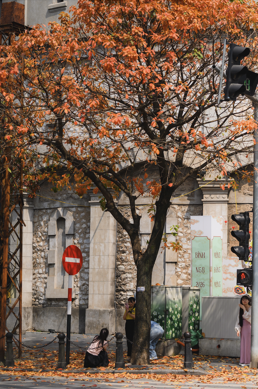 anh man hinh 2026 03 04 luc 121105