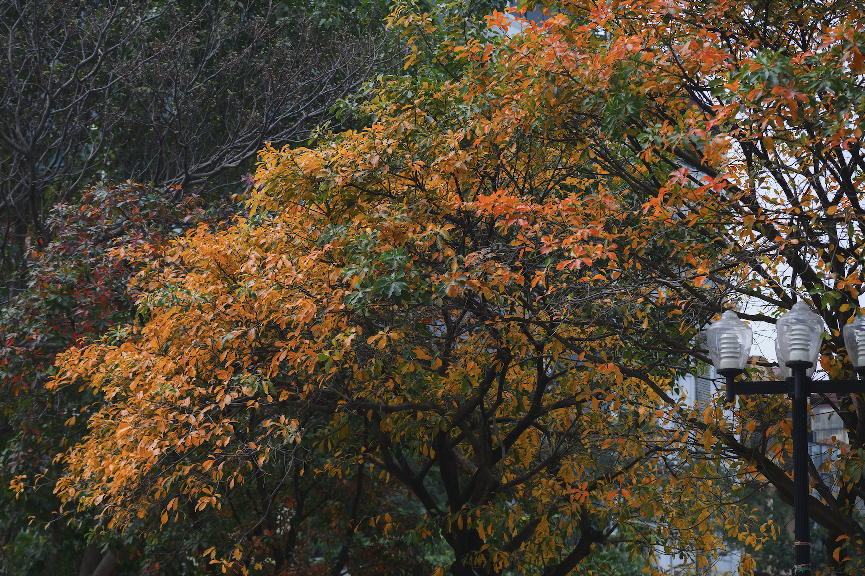 anh man hinh 2026 03 04 luc 121227