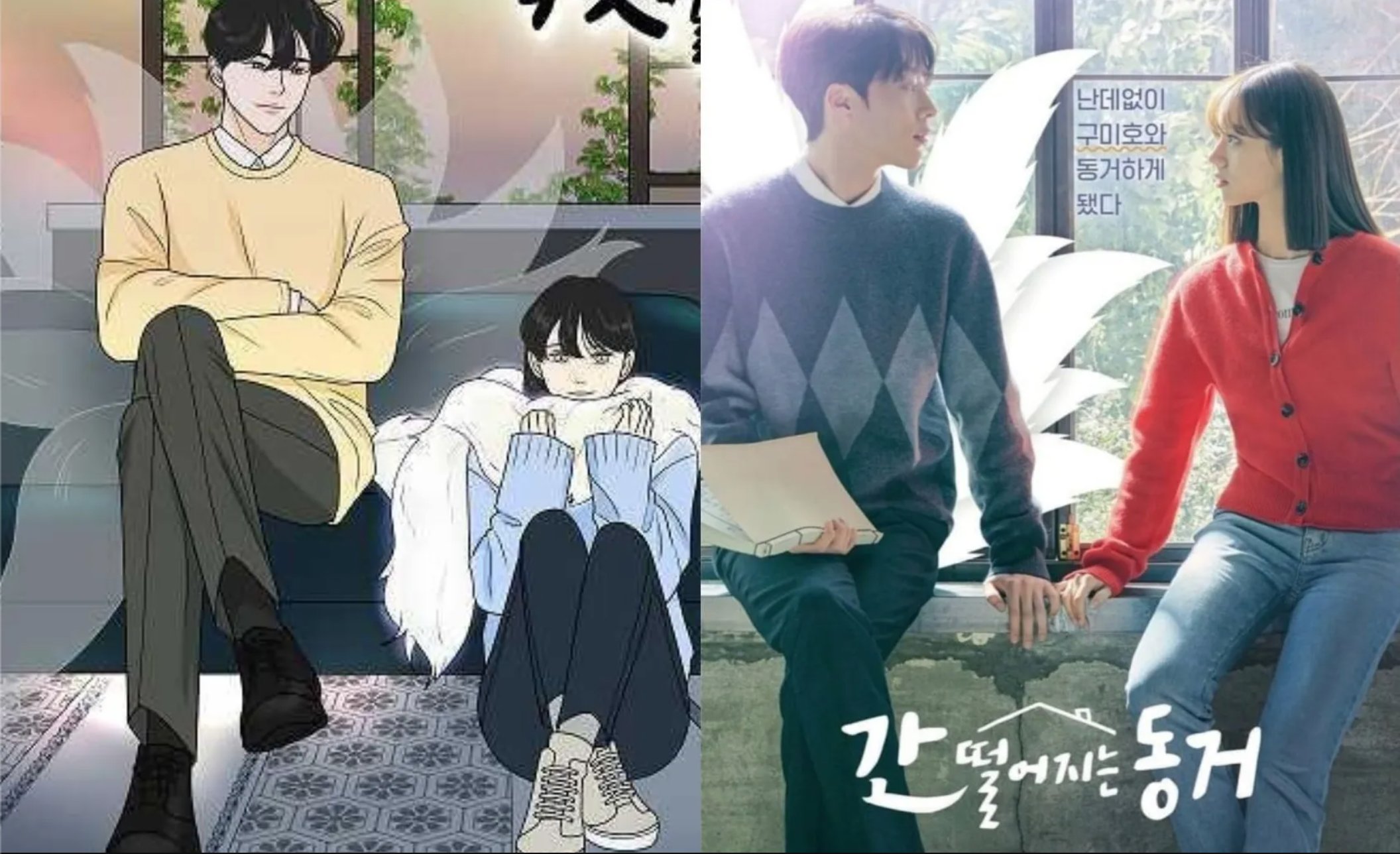 my roommate is a gumiho