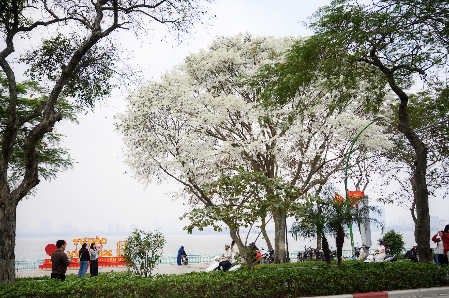 anh man hinh 2026 03 09 luc 164130